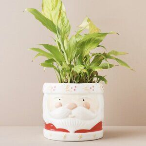 Christmas Santa Planter Pot | Santa Clause Planter